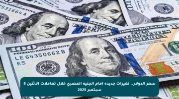 سعر الدولار..  تغيرات جديدة أمام الجنيه المصري خلال تعاملات الاثنين 8 سبتمبر 2025